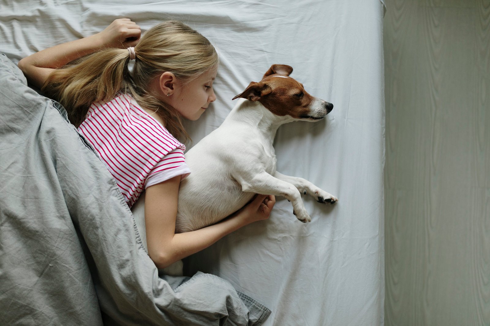 ¿Por Qué a mi Perro le Gusta Dormir Conmigo?