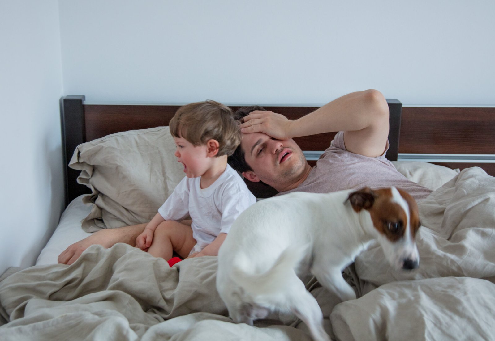 Enfermedades que Puede Transmitir un Perro al Dormir en la Cama: Lo que Debes Saber